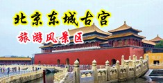 操b免费观看中国北京-东城古宫旅游风景区